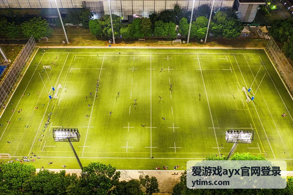 爱游戏ayx官网登录 登录前入口核对说明配图